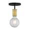 Nuvo Fixture, Semi Flush, 1-Lght, Incandescent, 100W, 120V, A19, Medium Bse, Weight: 1.56 60/7343 - alternate 2